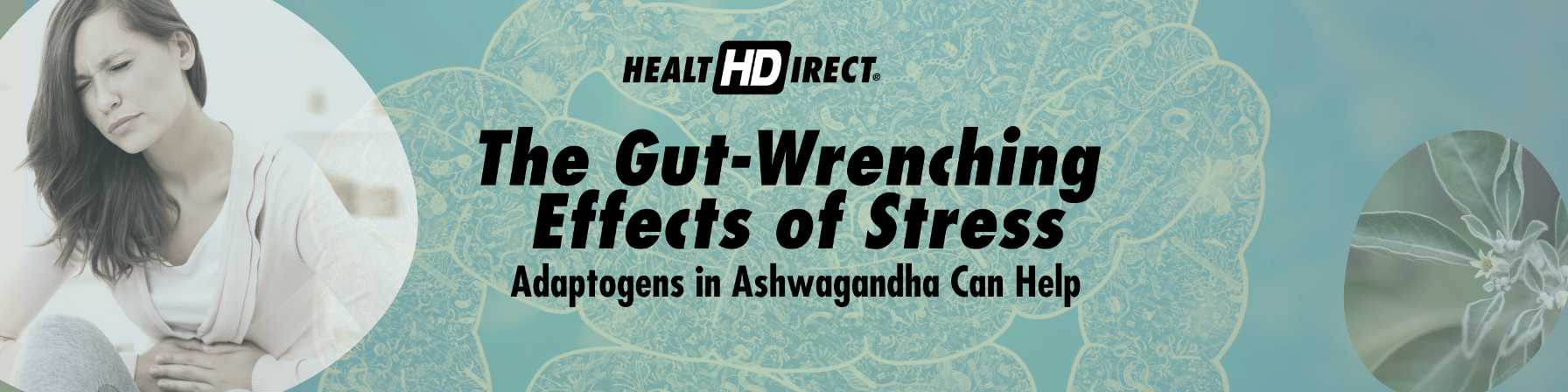 The adaptogen, Ashwagandha, can help relieve that wound up and bound up reaction to stress.