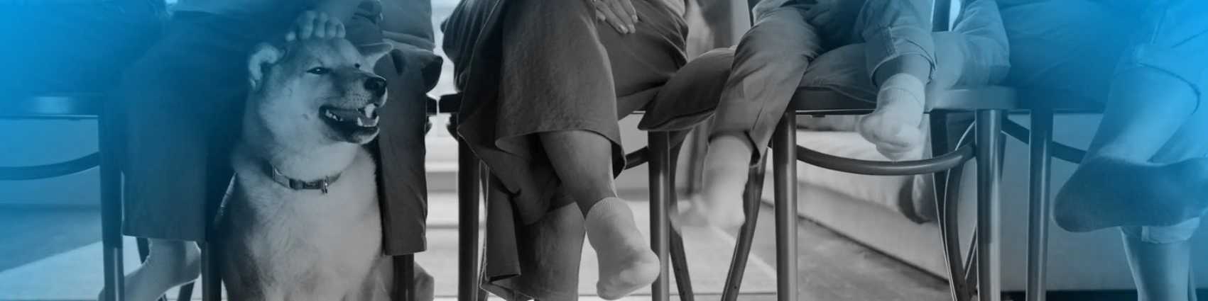 Are we really offering a limited-run AminoSculpt flavor in wild salmon pâté?