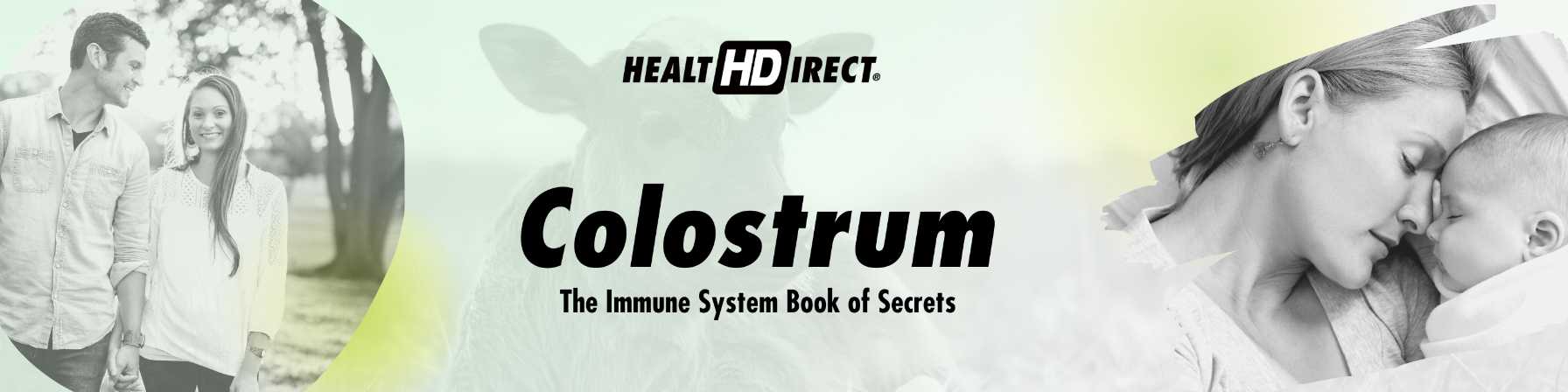 Colostrum And Your The Immune System