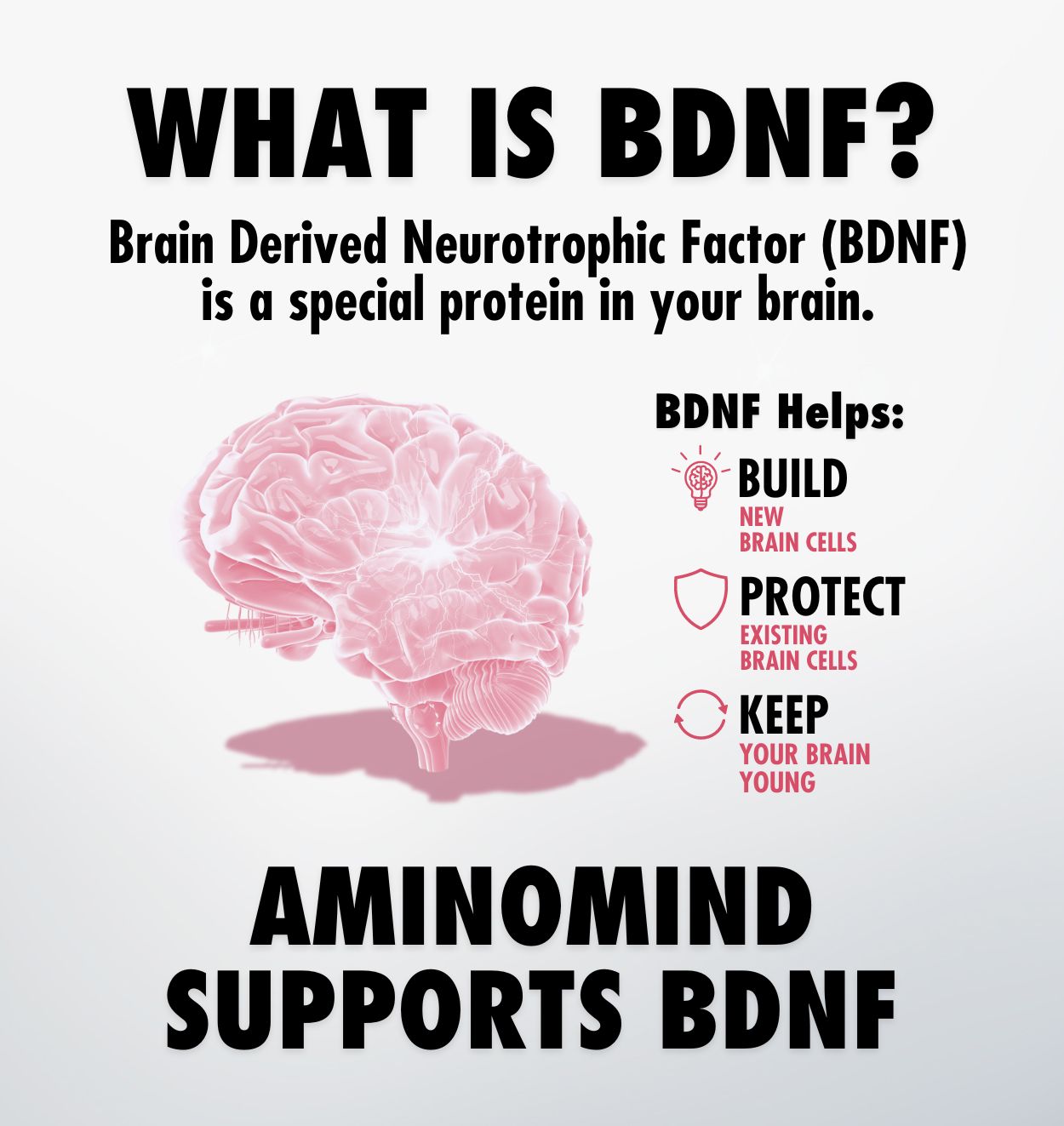 aminomind® energy chews