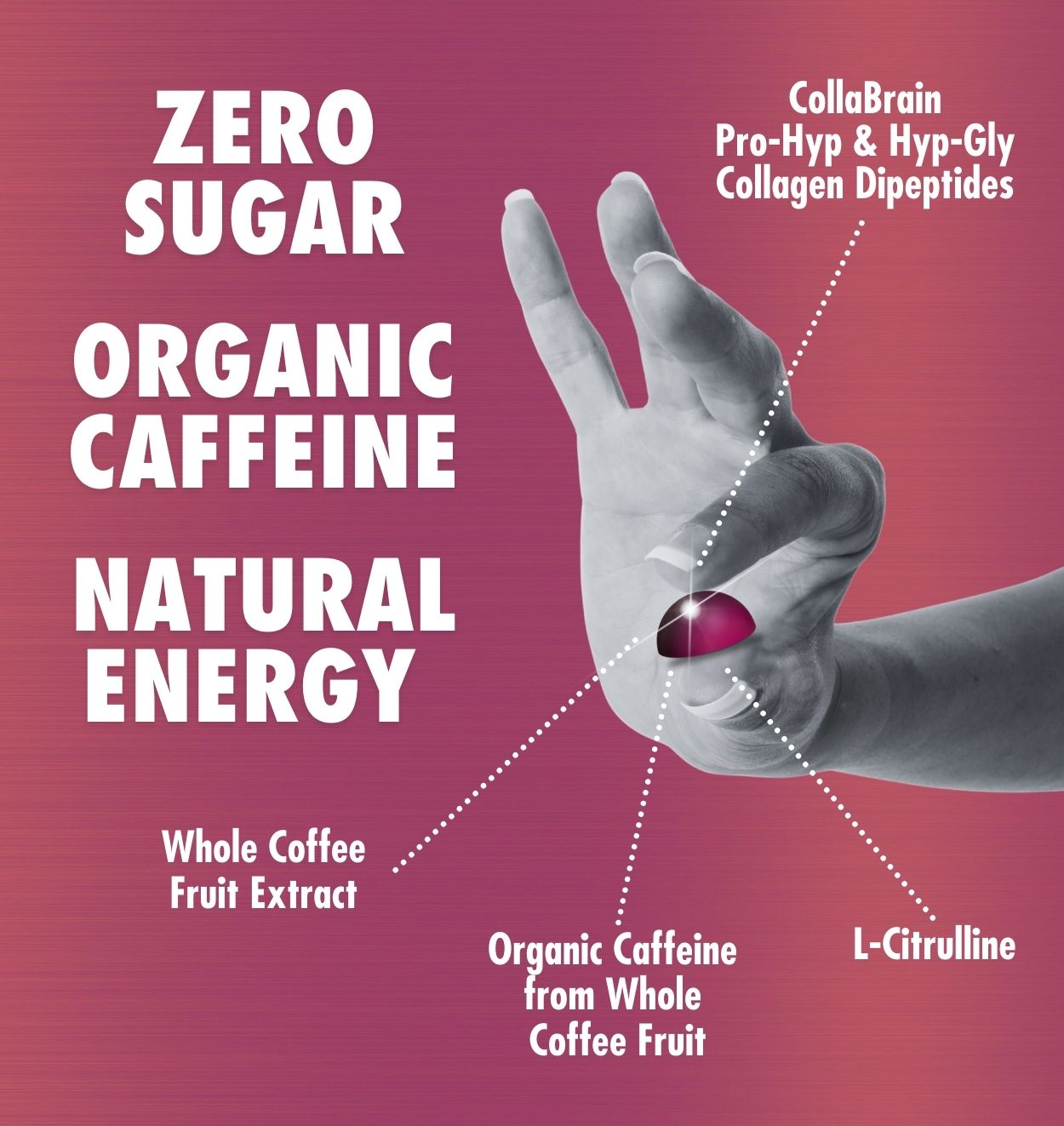 Zero Sugar, Organic Caffeine, Natural Energy