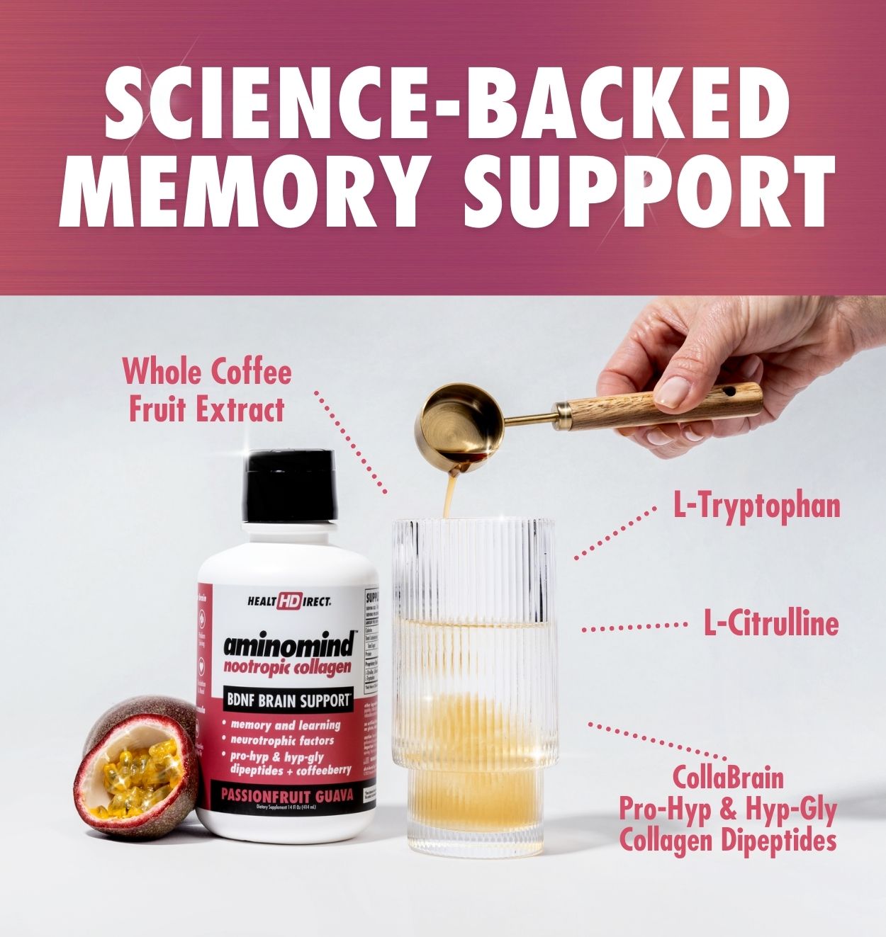 Science-Backed Memory Support