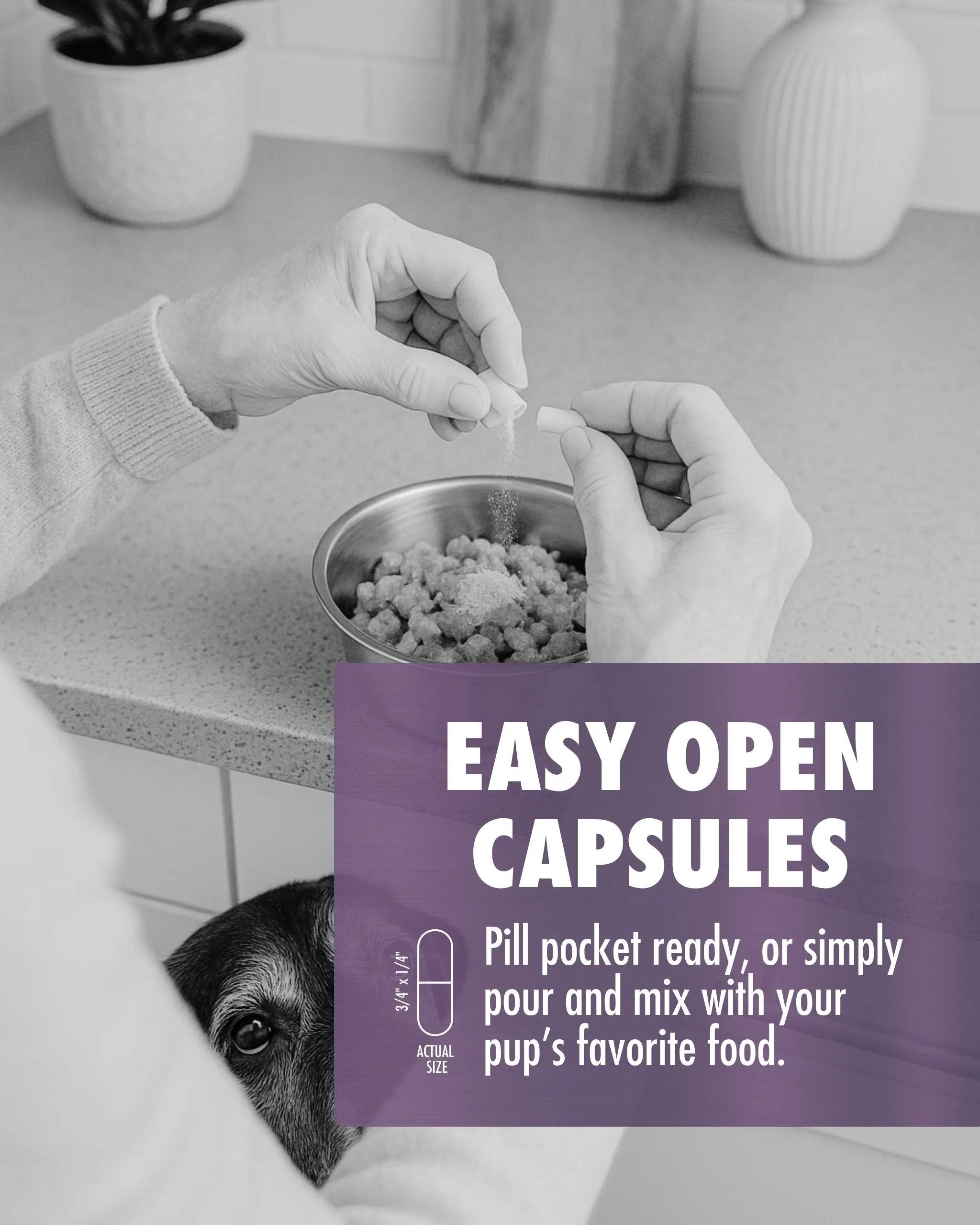 RenuVite® Anti-Aging 4 Dogs Health Direct - Easy Open Capsules